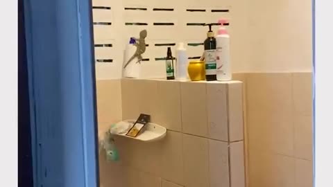 😂😭 Bro Accepts His Fate! | FunFM