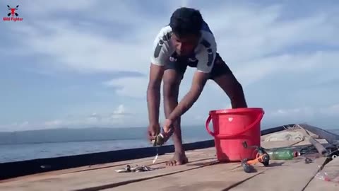 Whales Attack Ship