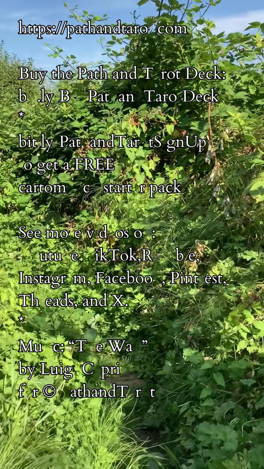 Too Much of Much Too Much | Path and Tarot Reading