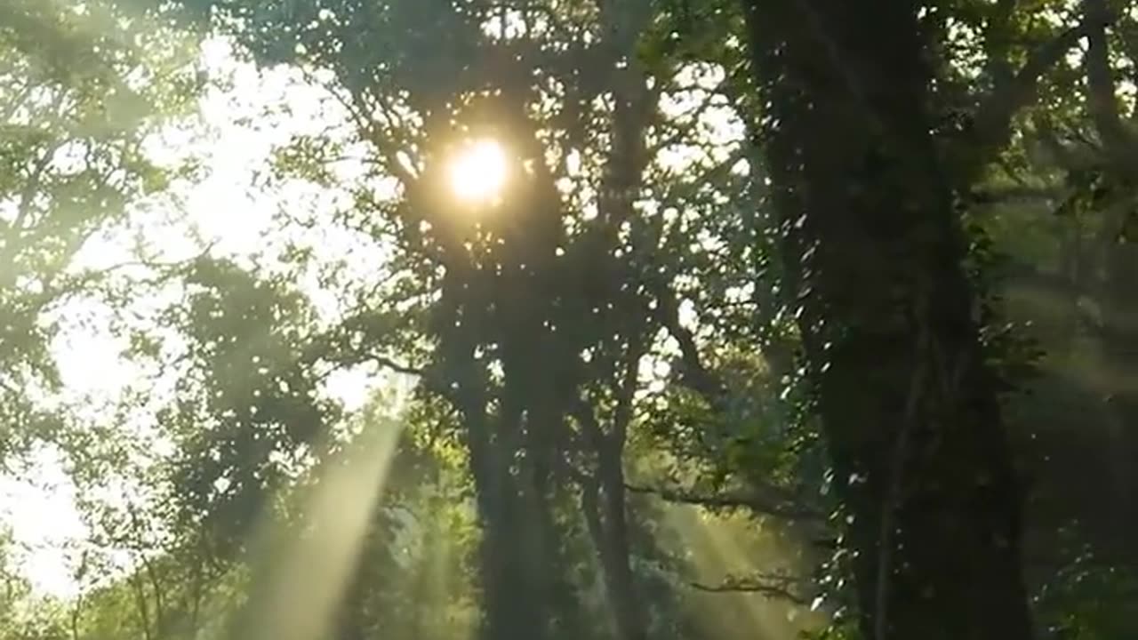 Daily Horoscope | Pisces 🌟