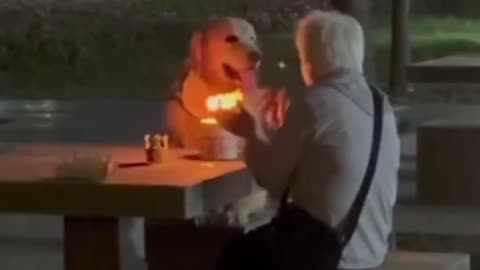 A grandma celebrating the birthday of her dog. The dog didn’t even look at the