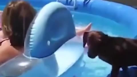😂💦 I'm Not Getting Wet Today! | FunFM