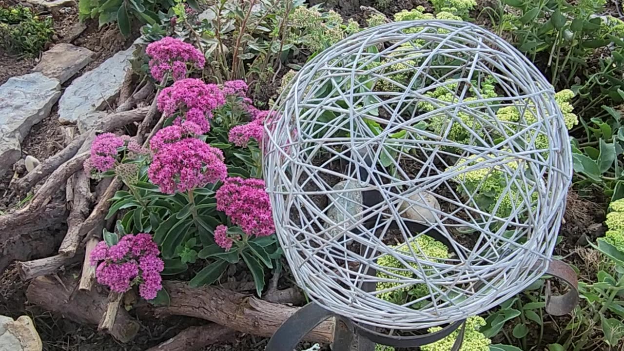 Sun Setting on intersection Upper Petunia Avenue and Sedum Stadium Stroll