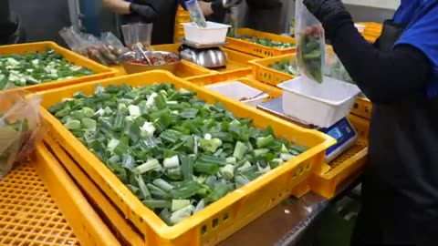 Ultra-Clean! Mass Production of Spicy Korean Crab Soup at the Busiest Food Factory!