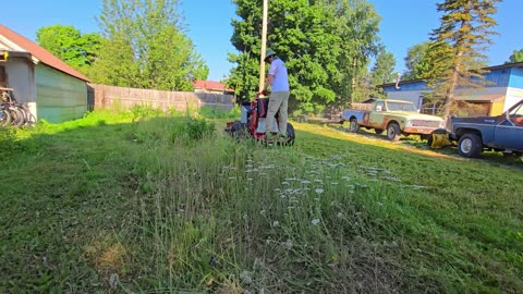 Everyone After Years Lost in Nature – GVS185903LQ #PlantifyLifeUS #RemoteFinds