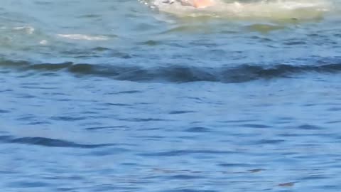 Guy Slips Off Boat Dock Roof