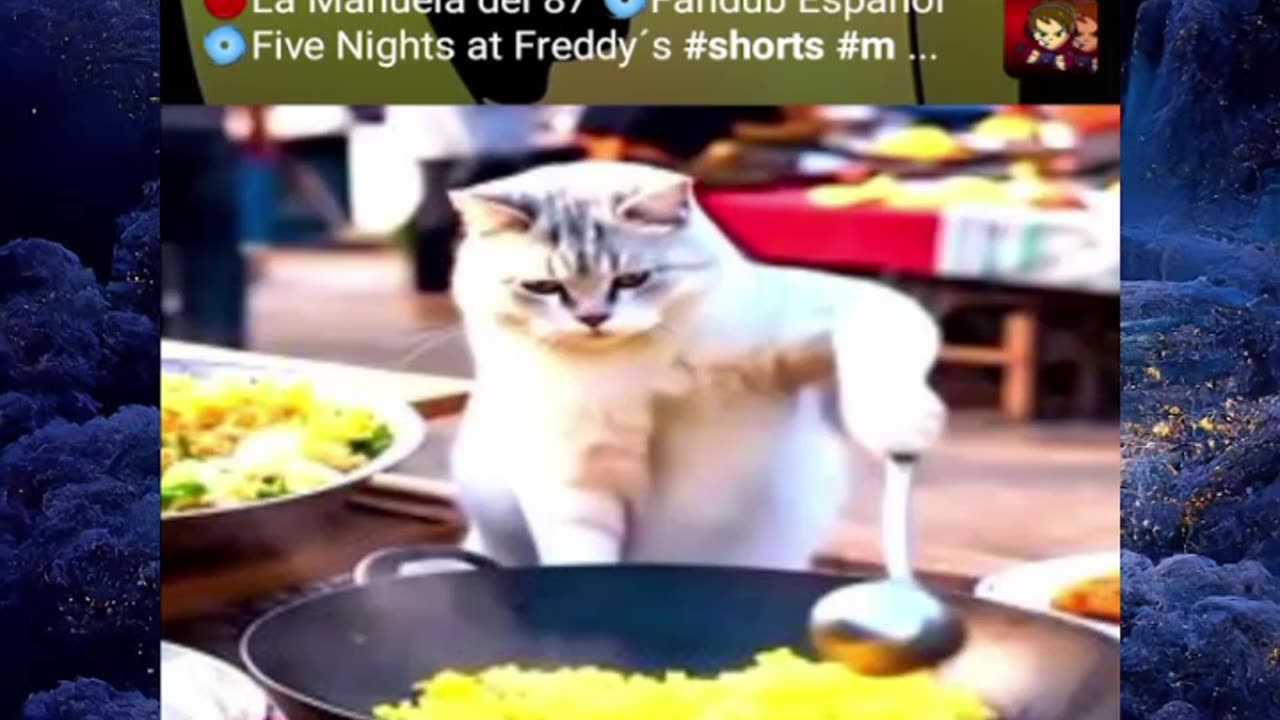 Just shorts videos 😜!!!!!!!