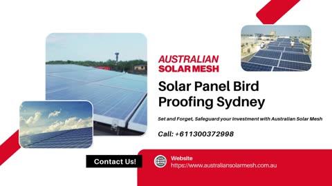 Solar Panel Bird Proofing in Sydney That Outperforms Ordinary Barriers