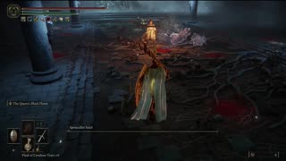 Elden Ring PC | Spiritcaller Snail of Road's End Catacombs boss fight as cooperator on NG #eldenring