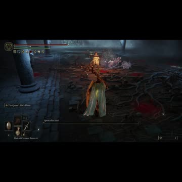 Elden Ring PC | Spiritcaller Snail of Road's End Catacombs boss fight as cooperator on NG #eldenring