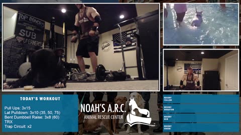 Gym Session w/Remy Pup [HAPPY Week 20!] - Back & Traps // Animal Rescue Stream :)