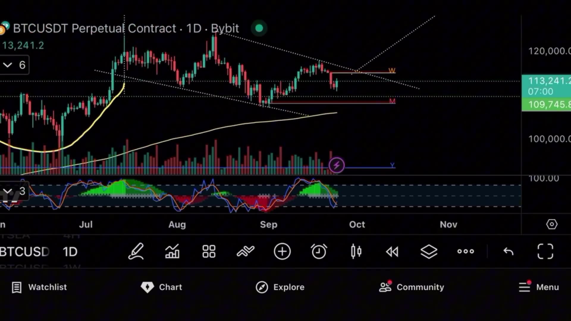 BITCOIN SLOWING DOWN, TESLA STILL PUMPING
