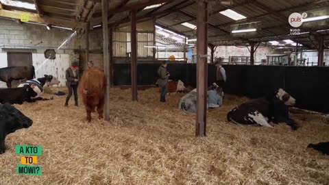 A kto to mówi? - odc.13 (17.09.2025)