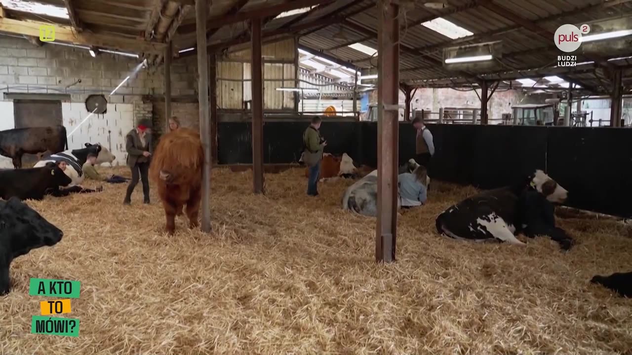 A kto to mówi? - odc.13 (17.09.2025)