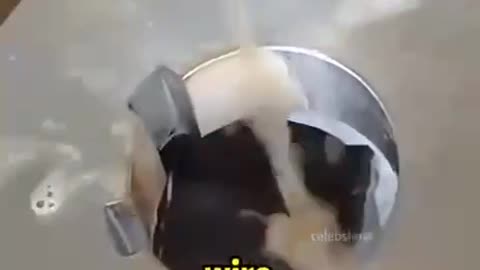 This explains why UFOs don't have visible door