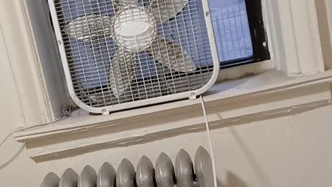 AG James launches initiative to monitor ICE in New York