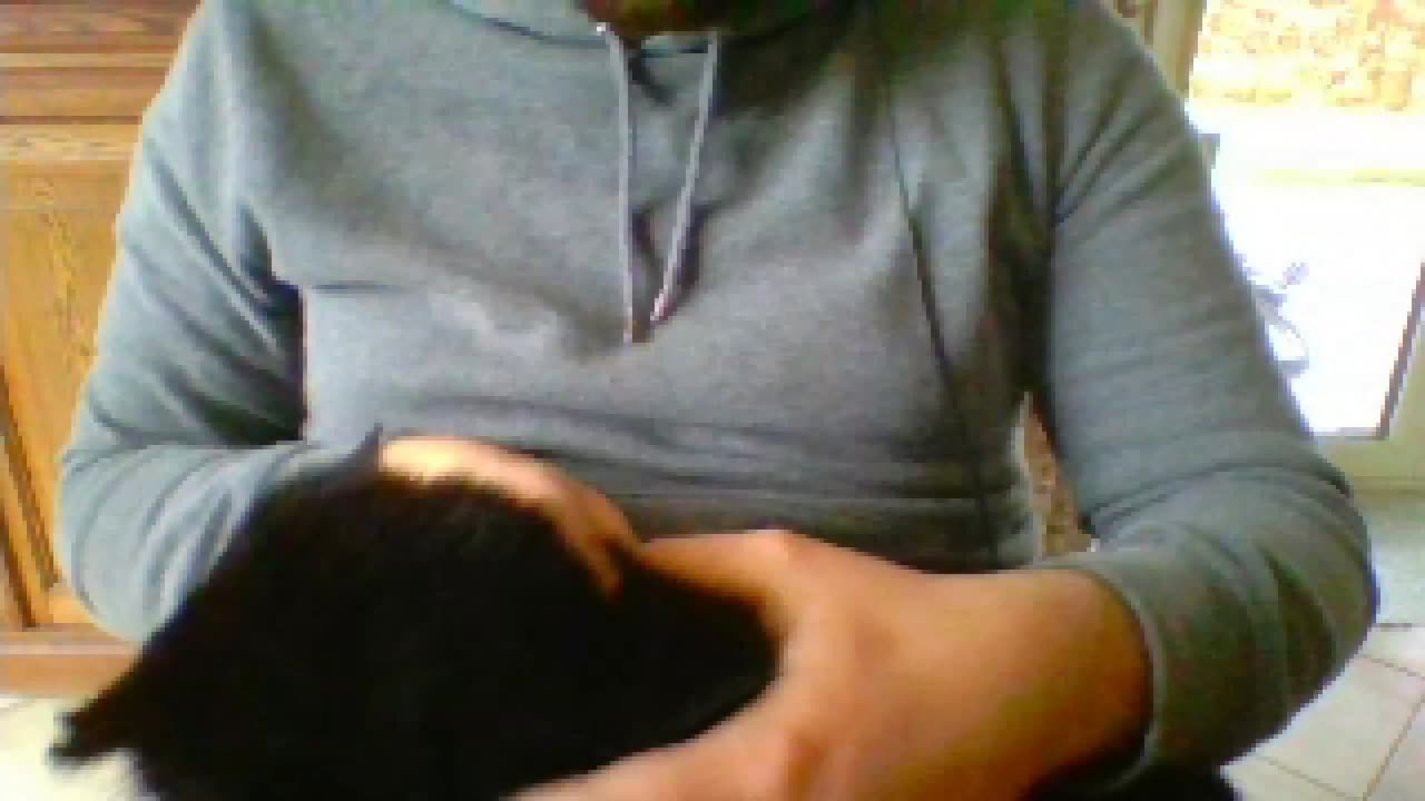 Me Petting My Cat Gently (fr/en)