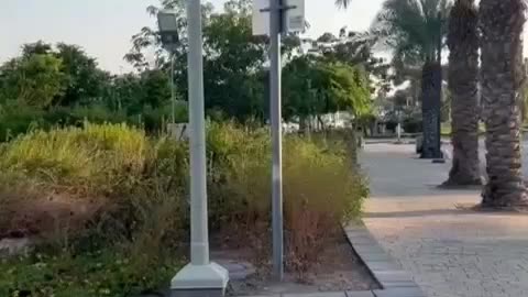 Drone on the hotel