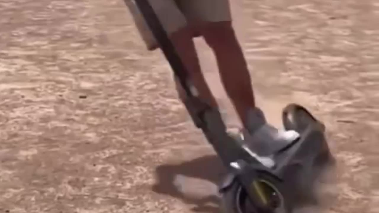 Funny video