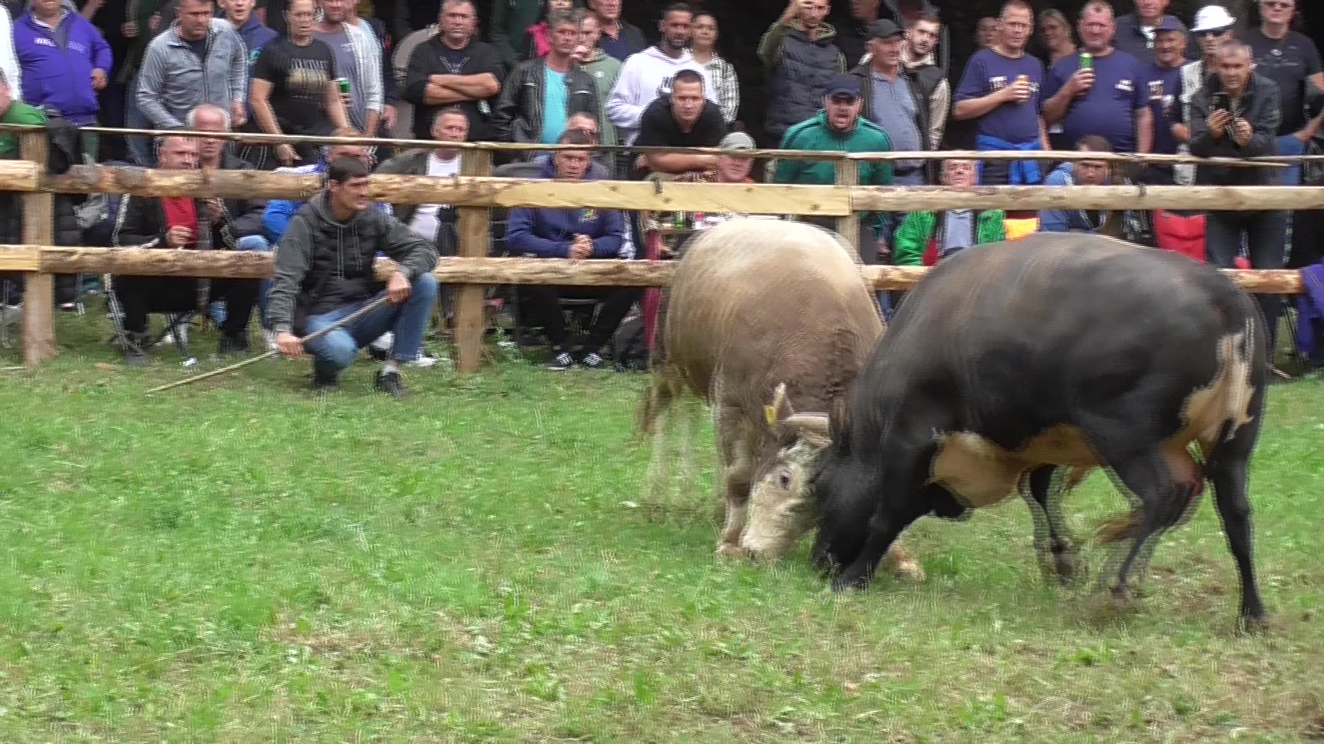 Peran od Šahbazovića vs Golubić od Alića Stražbenica 2025