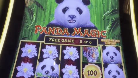 DragonLink Panda Magic🐼🎰🐉