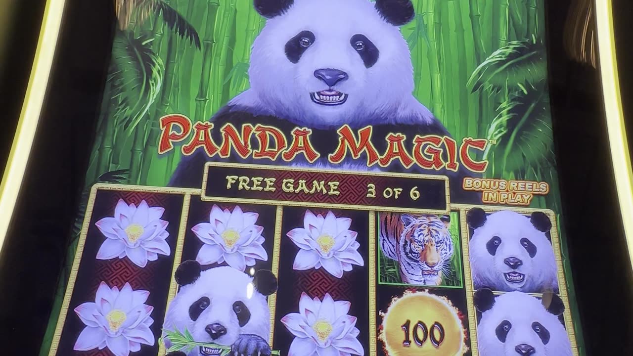 DragonLink Panda Magic🐼🎰🐉