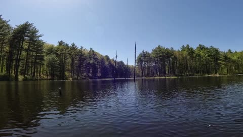 Great View
