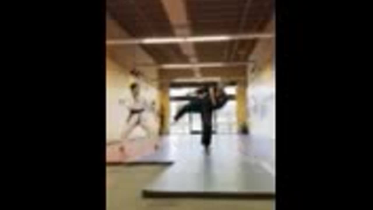 Tong Hap Kwan Hoshinsul Kicking Drill