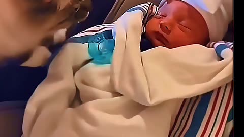 Heartwarming Cat Love for a Newborn Baby | Cutest Cat and Baby Moments Ever! 🐱👶💖