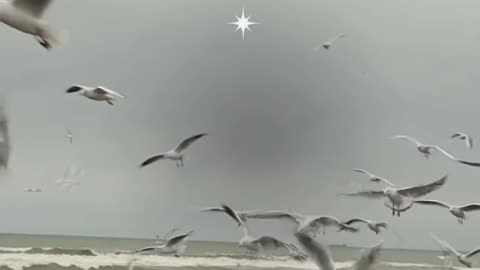 Lemon Se Zyada Juice Nikalna Hai?