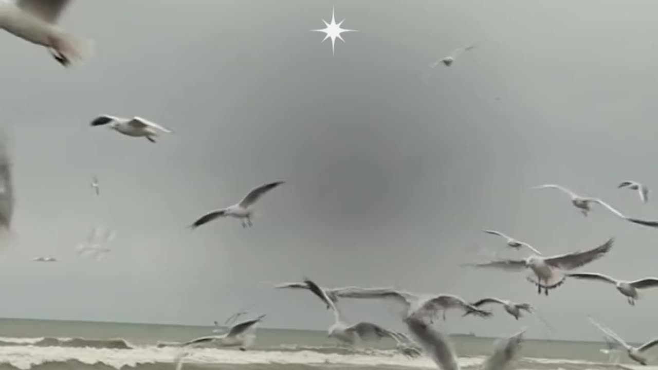 Lemon Se Zyada Juice Nikalna Hai?