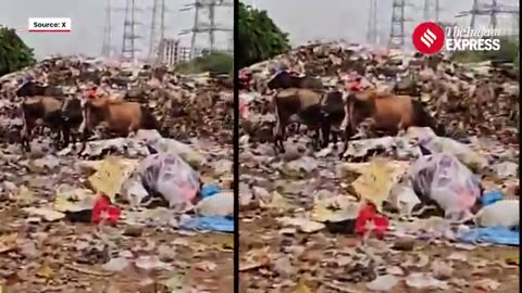 Army_Veteran_Sarcastically_Calls_Gurugram_‘India’s_Most_Garbage-Friendly_City’_in_Viral_Video