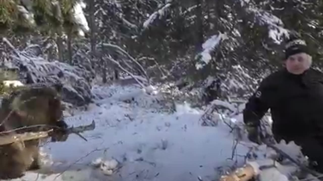 Love All Life Always #104 - Wild Bear Hero Saving Bears For Over 30 Years