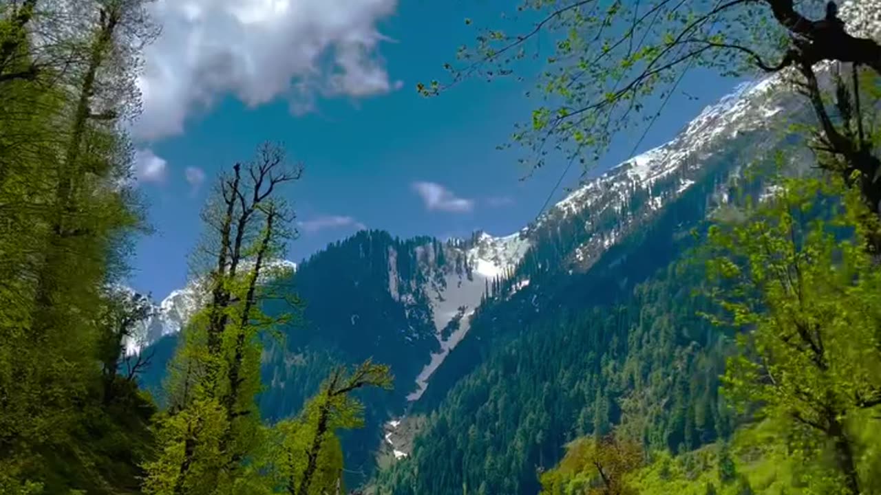 Pahalgam, a haven of breathtaking beauty, will forever be one of my most cherished destinations
