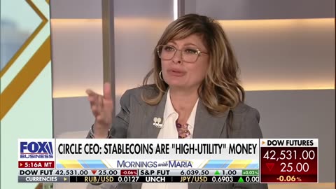 The CEO of Circle claims that this market sweet spot is still in its very early phases.