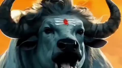 Jai mahadev