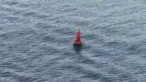 Buoy_Bobbing_in_Ocean_Wave_Breaker_in_Waves_Creative_Commons_Stock_Video
