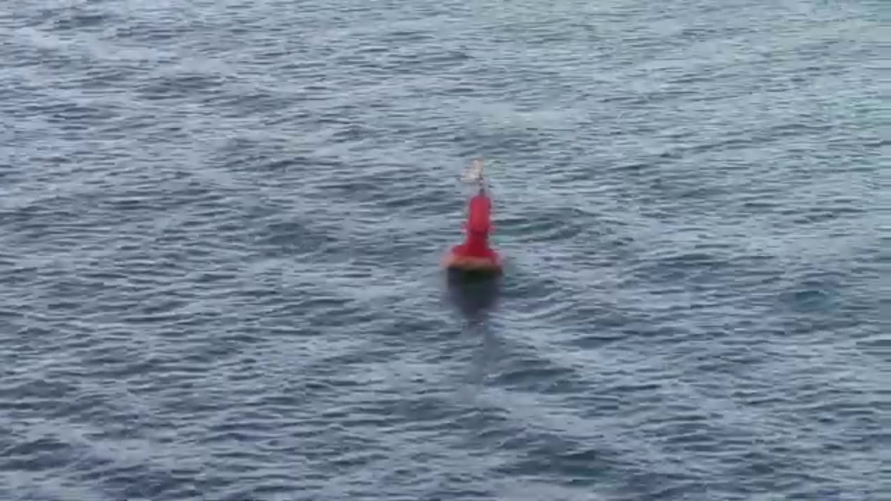 Buoy_Bobbing_in_Ocean_Wave_Breaker_in_Waves_Creative_Commons_Stock_Video