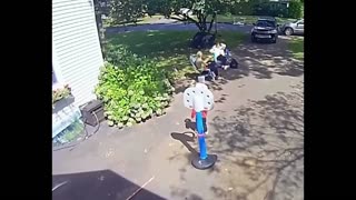 Family gets scared by a bear visit!