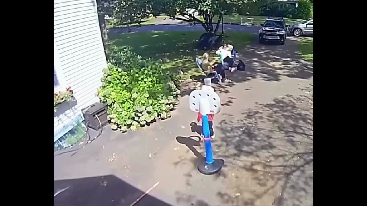 Family gets scared by a bear visit!