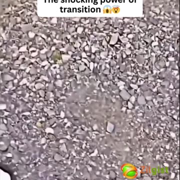 The shocking power of transition 😱🤯