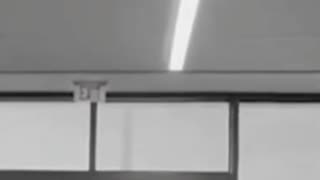 Retienen a músicos argentinos en aeropuerto de EE.UU. tras grabar video durante un vuelo