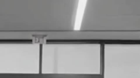 Retienen a músicos argentinos en aeropuerto de EE.UU. tras grabar video durante un vuelo