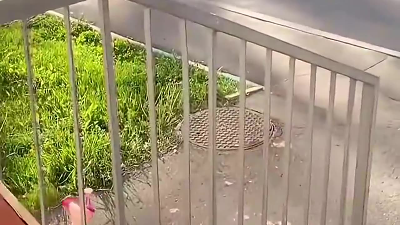 Funny Video (Follow My Channel)