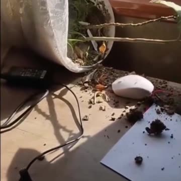 If you can’t hide the evidence, be the victim.. 😂