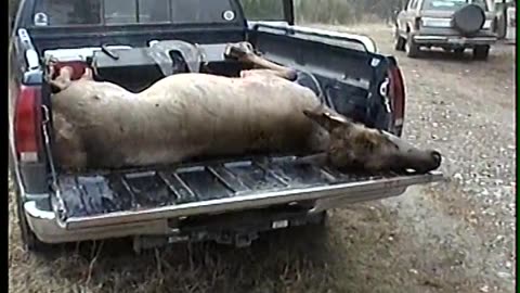 Elk Hunt 1999 Stanely Idaho