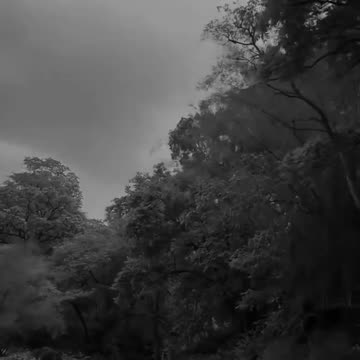 Vidéo de motivation de JACK MA