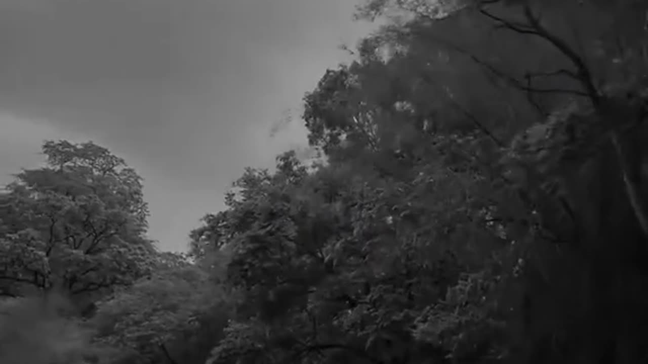 Vidéo de motivation de JACK MA