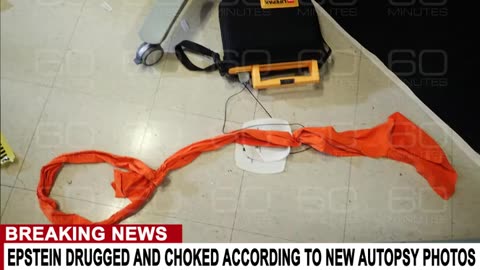 Epstein Didn't Kill Himself...