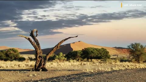 موسيقى الشرق الأوسط نبض الصحراء _Middle Eastern music, pulse of the desert